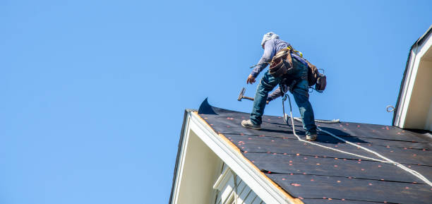 Best Metal Roofing Contractor  in Menahga, MN